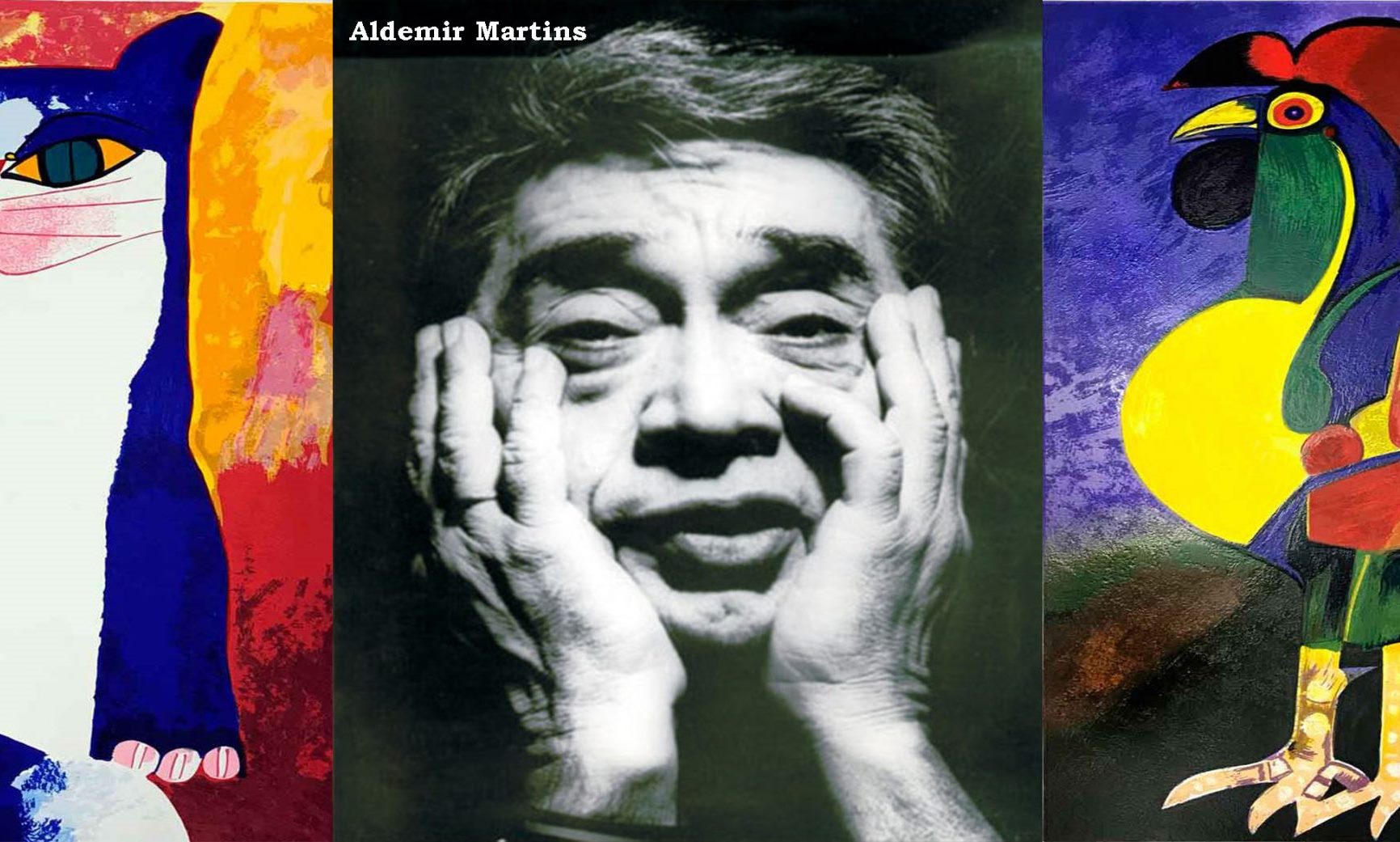 Aldemir Martins