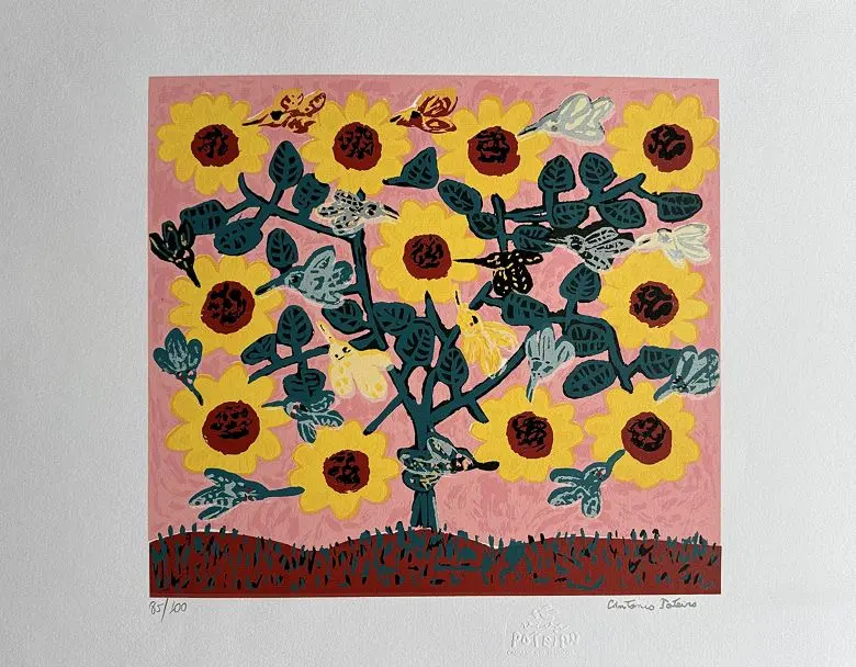 Antônio Poteiro serigrafia Beija-flores