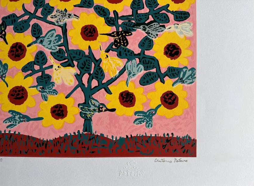 Antônio Poteiro serigrafia Beija-flores - Imagem 3